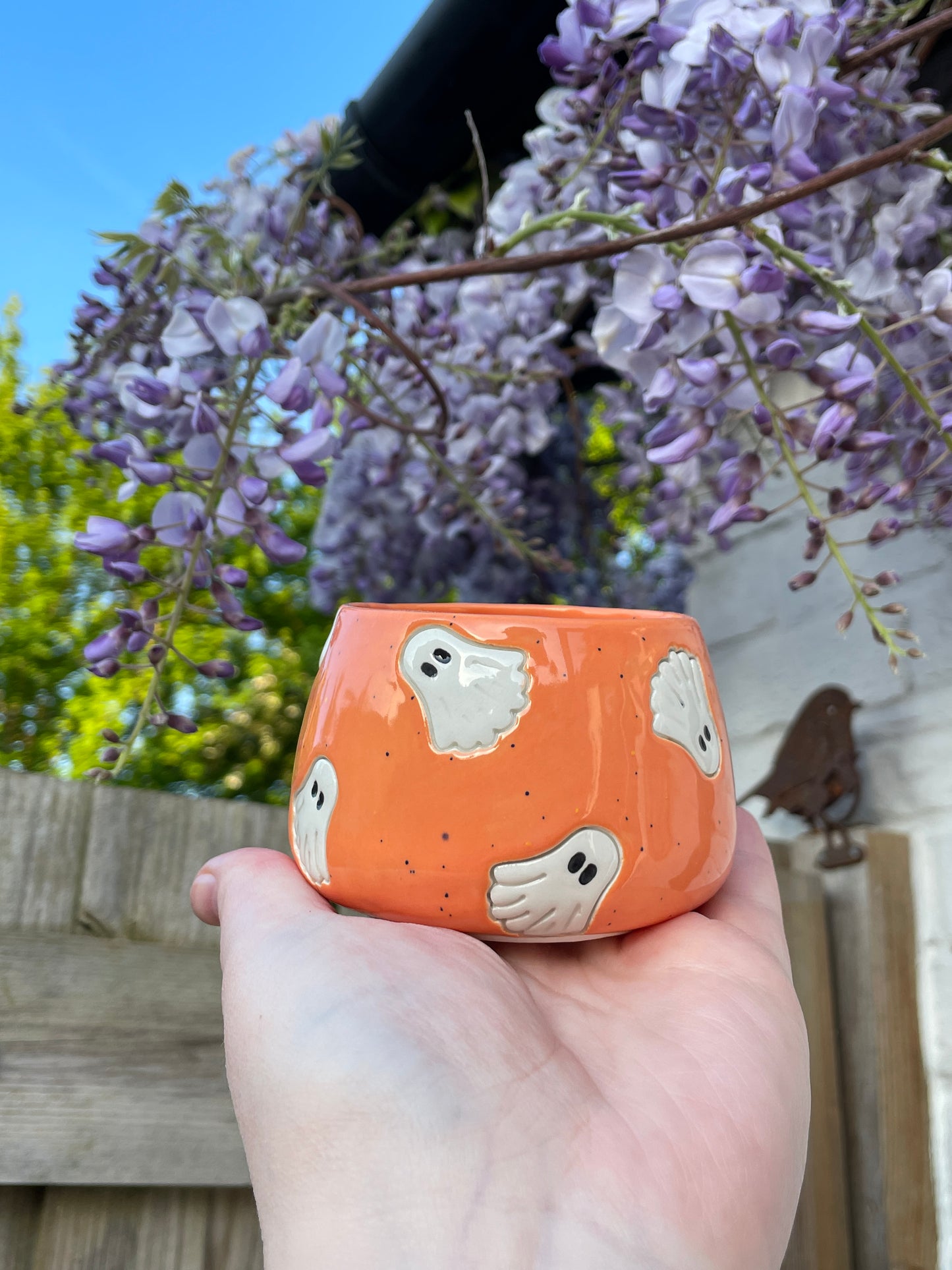 Speckled Orange - Ghost Plant Pot