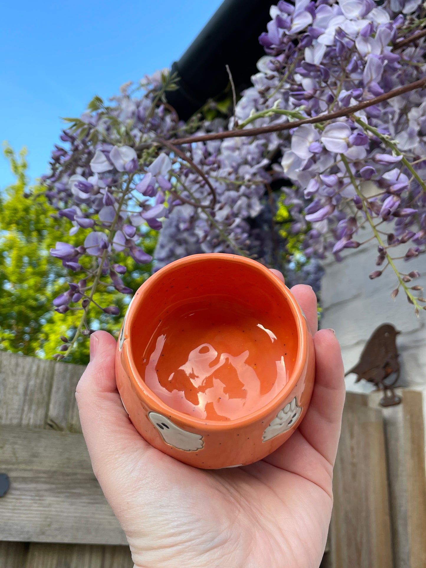 Speckled Orange - Ghost Plant Pot