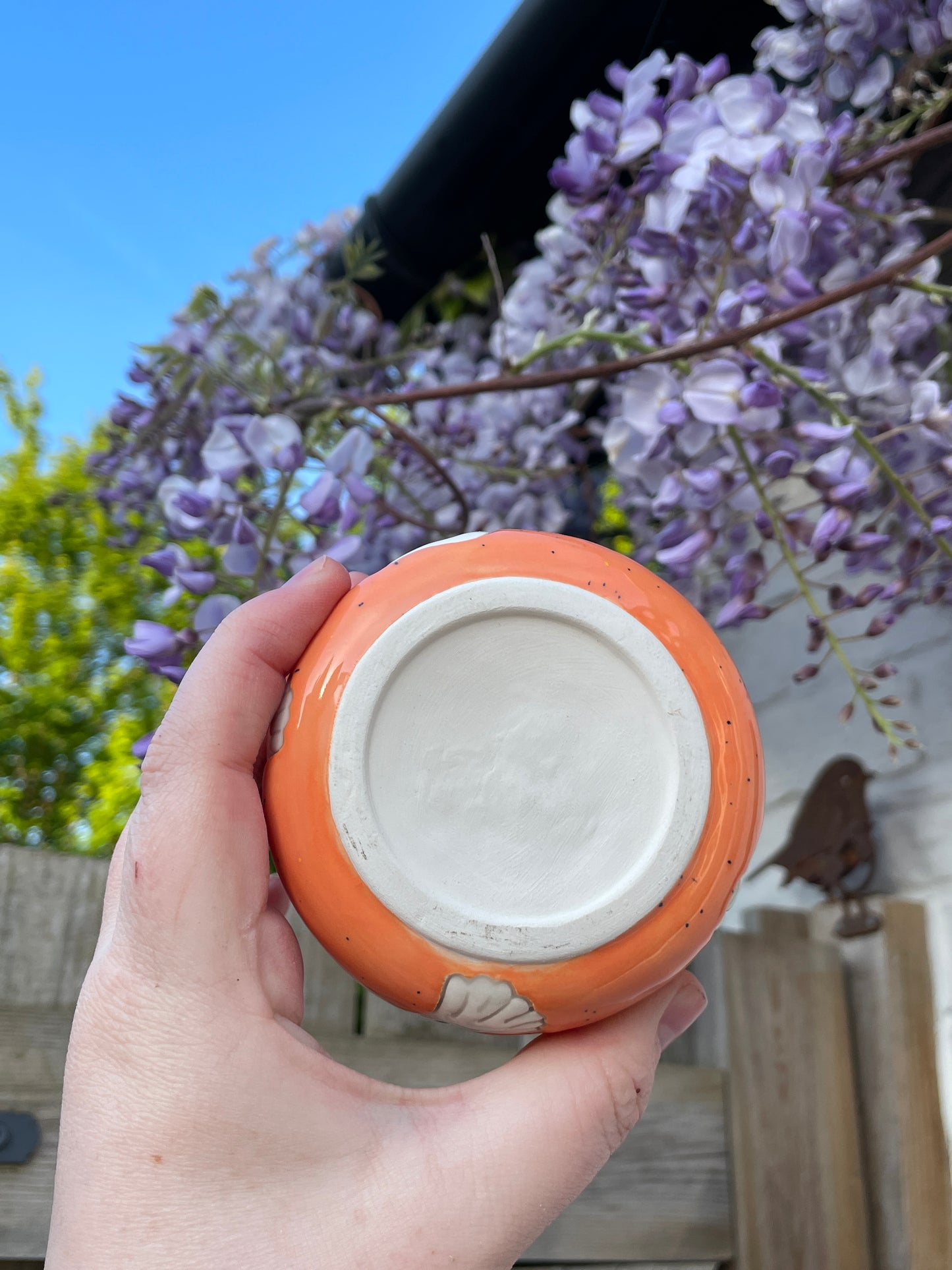 Speckled Orange - Ghost Plant Pot