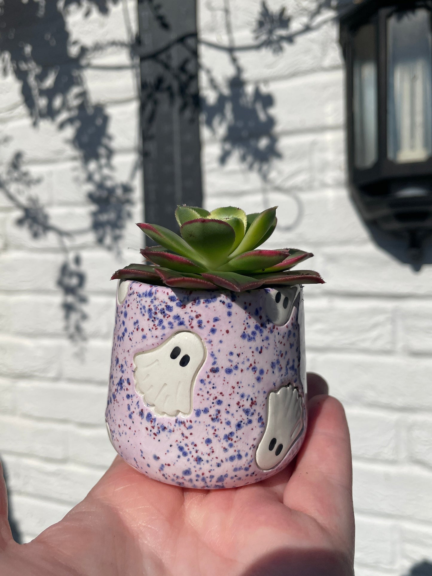 Speckled Periwinkle - Espresso / Small Plant Pot